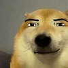 ziemniakyipll