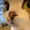 aprilwy09