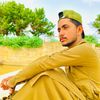 palarishab36