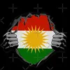 elansouliman