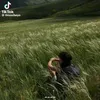 vs_carool