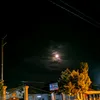 beruang_7654