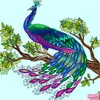 sifaulhusna781