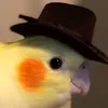 diversaoealegria69