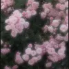 yyy__23425