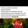 cristinaffrnanez