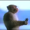 zzasirinskijgmail.com