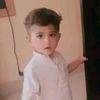 javedjamali50