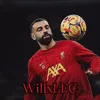 willxlfc