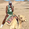 ruksloner