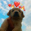 userra3cwhtt5h