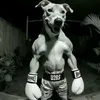 tongshingwa99