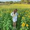 haneul040