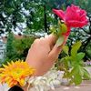 user9929618940065