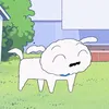 jsnghco.a