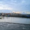 instinc_29