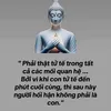 dinhquyenhg