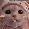 iwuwhhwnwaj