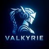 valkyrie_455.comunity