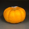 pumpkinpatroller