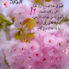 diaadeeb8