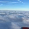 fredfisher399
