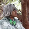 phoenix.cos_p