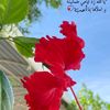 suryeli0121