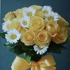 ranya34452