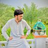 mtalhakhan62