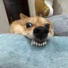 carolzoza_
