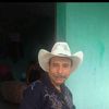 ameflores35