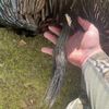andrew_lockaby10