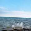 nancytran28