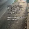ngdieu.phth1