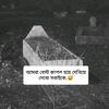 mdsaifulislam71835
