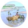 .mozibulhoque.130