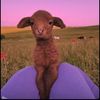 bumbalicious8