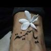 user5155330262493