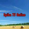 spika297
