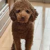 user4qgkdrlm1h