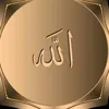 user619328180807