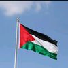 𝐅𝐫𝐞𝐞 𝐩𝐚𝐥𝐞𝐬𝐭𝐢𝐧 🇦🇪