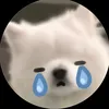 dontcry.no1