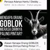pelayang0k