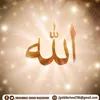 sajadbaloch597