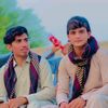 talhatalha529