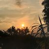 phuonghuynh21gmali.com