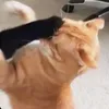 krishiel_3