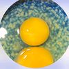 ball667s